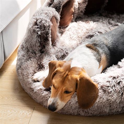 funny fuzzy dog bed|More.